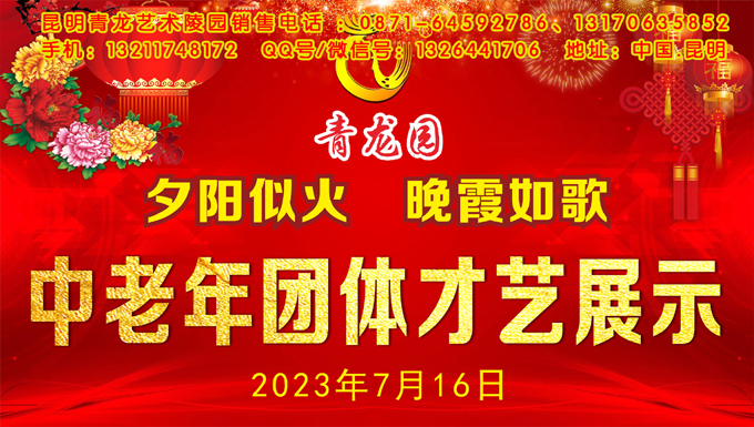 2023年7月16日昆明青龙园举办中老年团体才艺展示